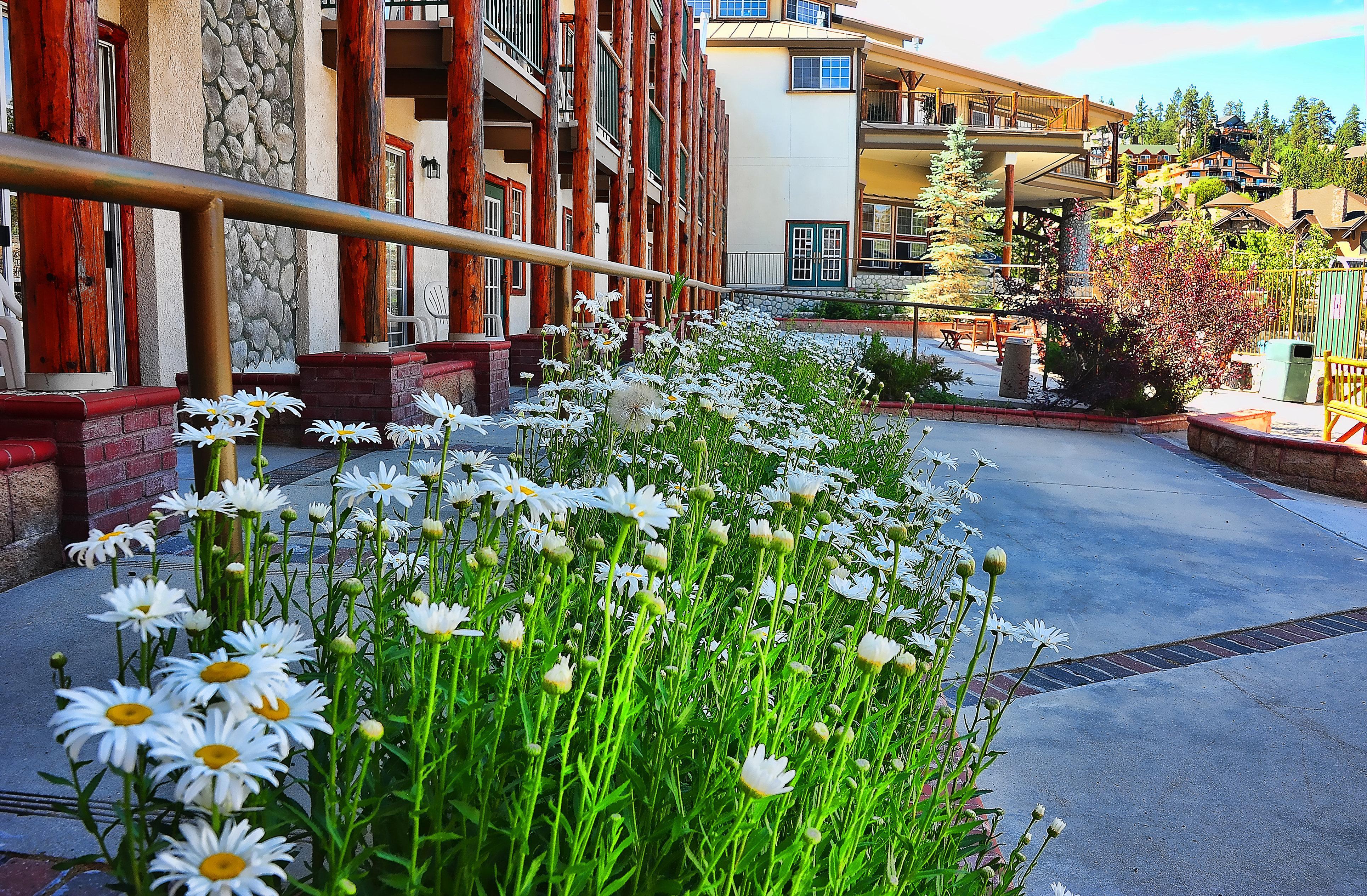 Holiday Inn Resort The Lodge At Big Bear Lake By Ihg Eksteriør billede